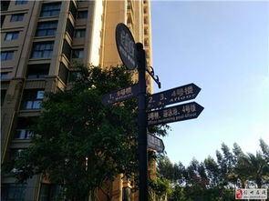 對面就是海花島,成熟小區,