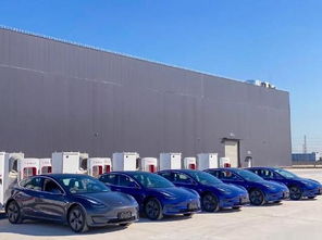 新能源汽車銷量持續(xù)暴跌,比這更可怕的是消費者信心的缺失