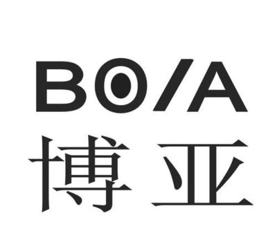 襄陽企業博亞精工IPO成功過會