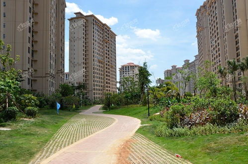 海南中南西海岸效果圖 實景圖 樣板間